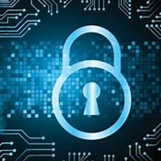 Data Integrity Auditing Program